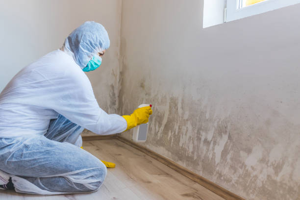 Licensed Commercial Mold Remediation service in Morrisville, NC - WQB Mold Removal