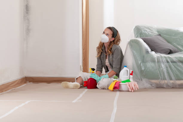 Reliable Commercial Mold Remediation contractor in Morrisville, NC by WQB Mold Removal